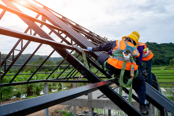 Best Roof Gutter Cleaning  in Pinch, WV
