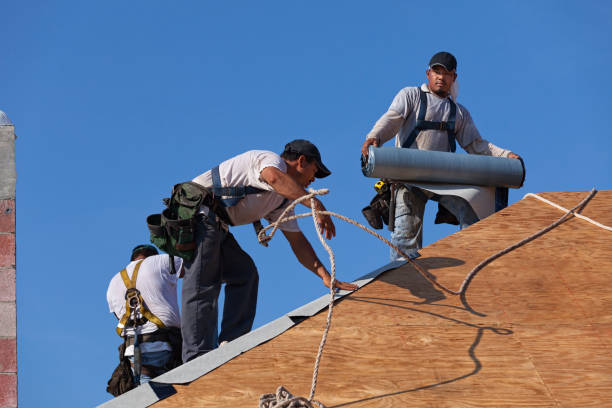 Roof Gutter Cleaning in Pinch, WV